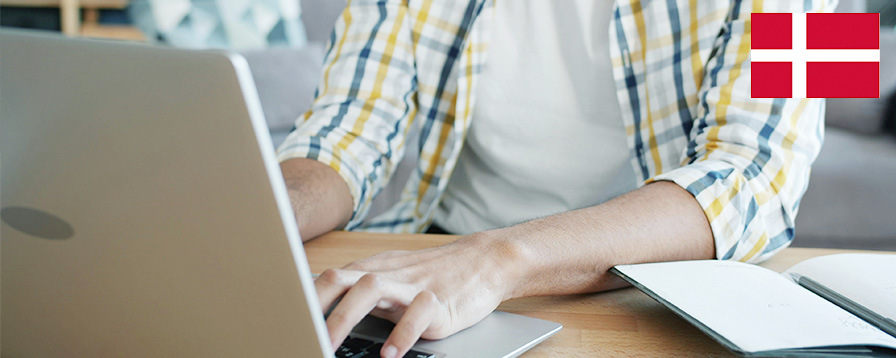 Netbaseret undervisning